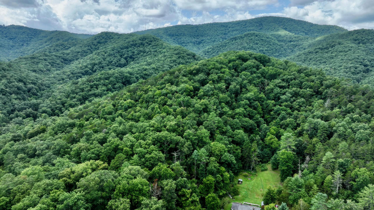 RIP VAN WINKLE RD, WHITE SULPHUR SPRINGS, WV 24986, photo 1 of 13