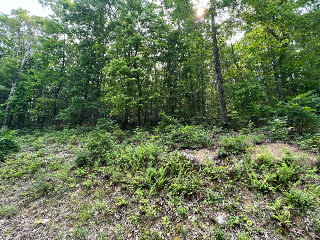 LOT 29 KATY DRIVE OVERLOOK AT GREENBRIER, WHITE SULPHUR SPRINGS, WV 24986, photo 1 of 16