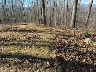 LOT 80, WHITE ROCK TRL, CALDWELL, WV 24986, photo 3 of 30