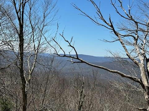 371 S WEST RIDGE RD, SNOWSHOE, WV 26209, photo 3 of 10