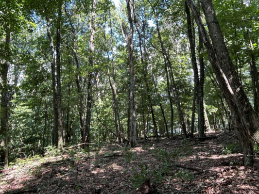 LOT 142 WITHROW LANDING/ THE RETREAT, CALDWELL, WV 24925, photo 3 of 12