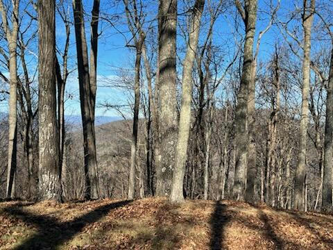 LOT 80, WHITE ROCK TRL, CALDWELL, WV 24986, photo 4 of 30