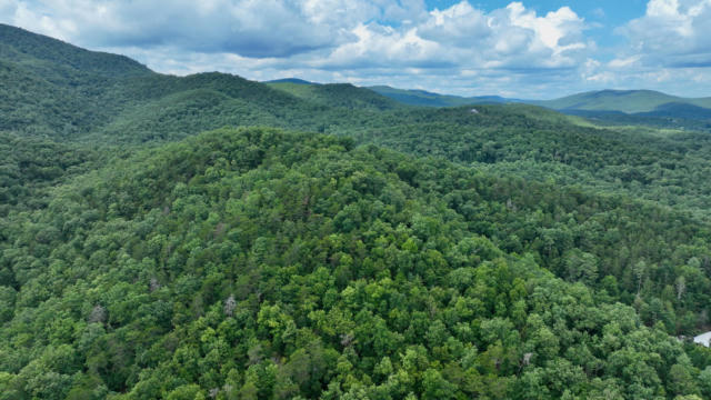 RIP VAN WINKLE RD, WHITE SULPHUR SPRINGS, WV 24986, photo 4 of 13