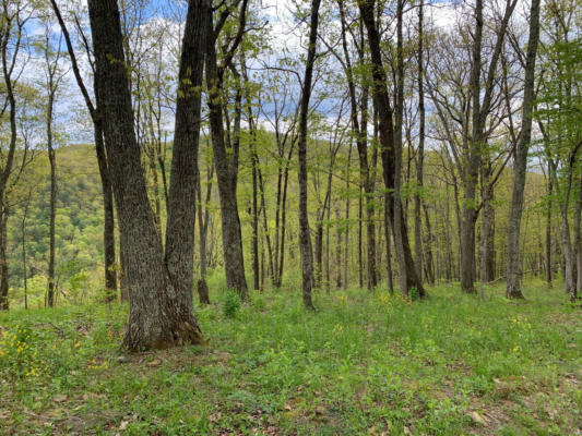 LOT 123 WITHROW LANDING, THE RETREAT, CALDWELL, WV 24925, photo 3 of 18