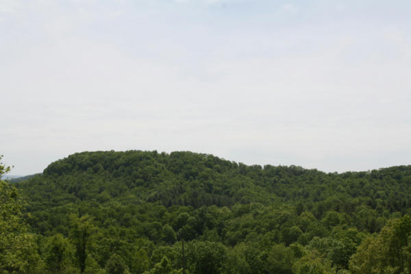 DUNNS ROAD, JUMPING BRANCH, WV 25969 - Image 1