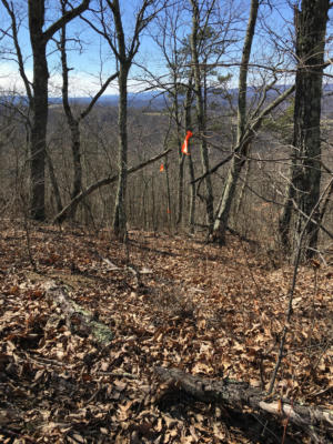 LOT 63, THE RETREAT, NORTH SLOPE, CALDWELL, WV 24925, photo 2 of 18