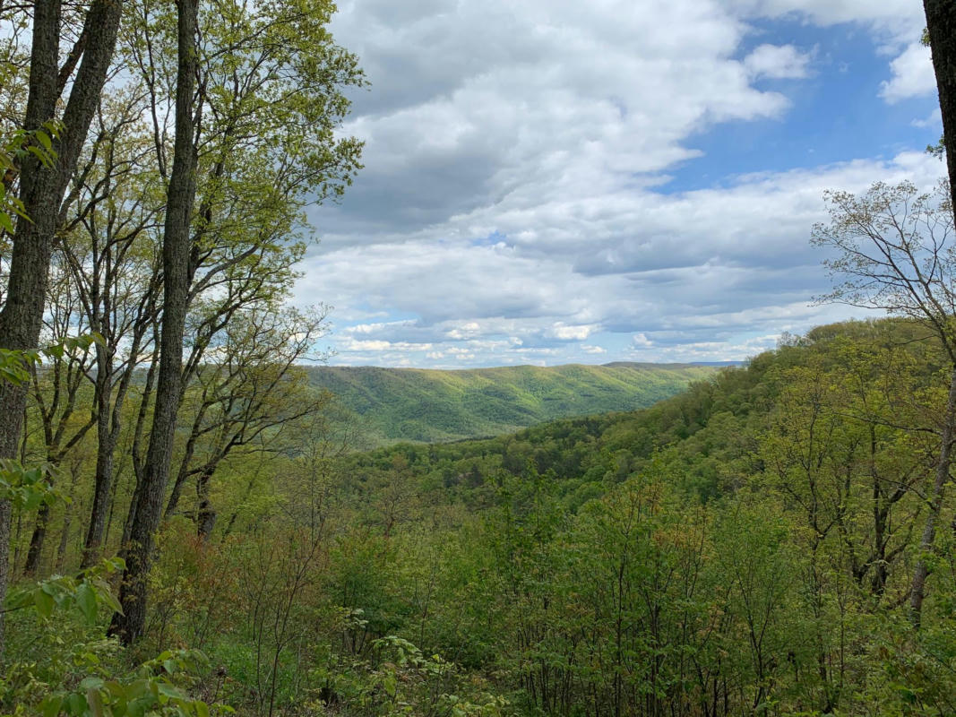 LOT 123 WITHROW LANDING, THE RETREAT, CALDWELL, WV 24925, photo 1 of 18
