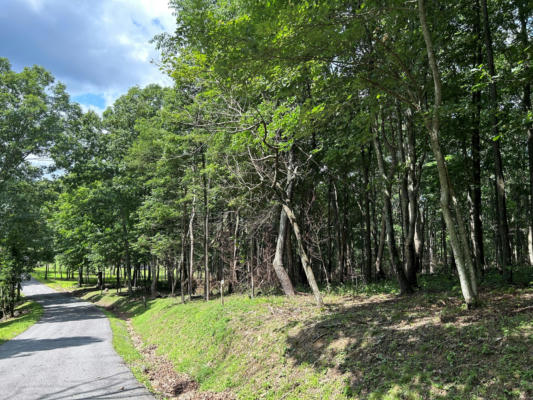 LOT 142 WITHROW LANDING/ THE RETREAT, CALDWELL, WV 24925, photo 5 of 12