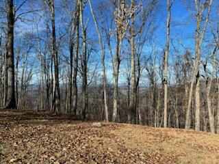 LOT 80, WHITE ROCK TRL, CALDWELL, WV 24986, photo 5 of 30