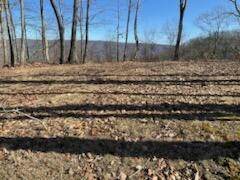 LOT 127 WITHROW LNDG, THE RETEAT, CALDWELL, WV 24925, photo 5 of 23