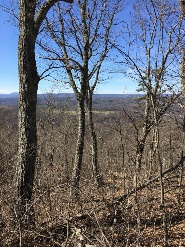 LOT 63, THE RETREAT, NORTH SLOPE, CALDWELL, WV 24925, photo 1 of 18