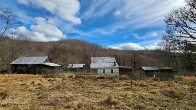 969 SIMMS MOUNTAIN RD, RAINELLE, WV 25962 - Image 1