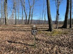 LOT 127 WITHROW LNDG, THE RETEAT, CALDWELL, WV 24925 - Image 1