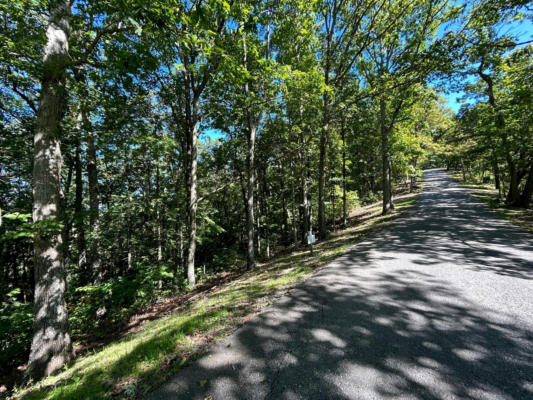 LOT 22 HORIZON PARKWAY, THE RETREAT, CALDWELL, WV 24925, photo 4 of 16