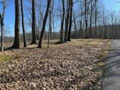 LOT 127 WITHROW LNDG, THE RETEAT, CALDWELL, WV 24925, photo 3 of 23