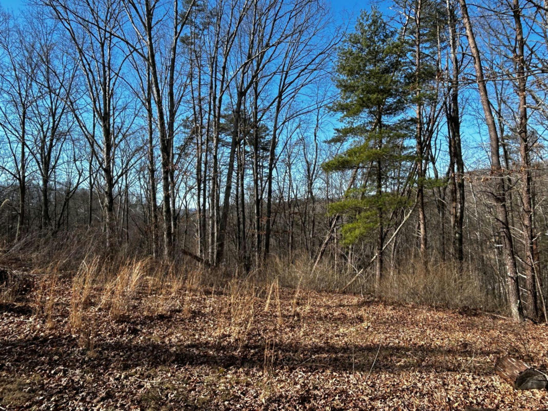 LOT 51 HILLCREST ESTATE, PETERSTOWN, WV 24963, photo 1 of 12