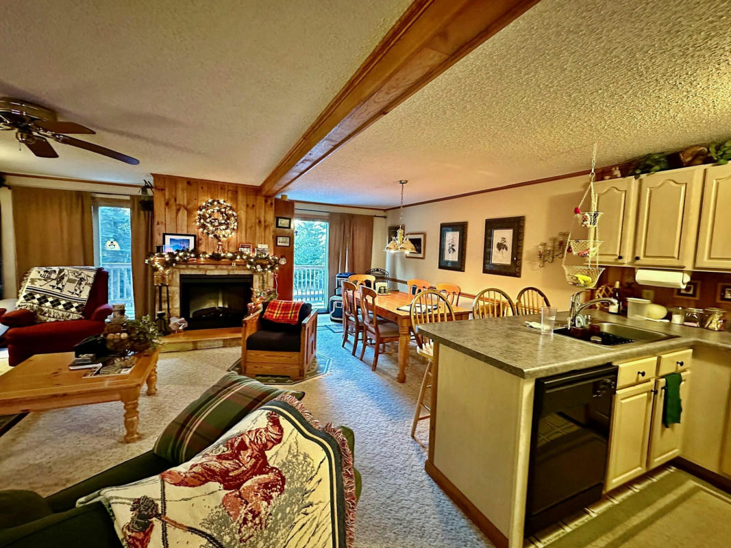 69 SHAMROCK CIR, SNOWSHOE, WV 26209, photo 1 of 50