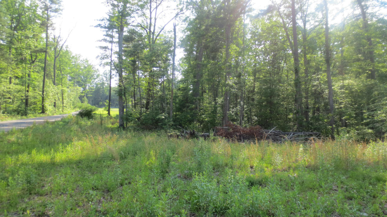 LOT 22 WOODHAVEN SUBDIVISION, LEWISBURG, WV 24901, photo 1 of 10