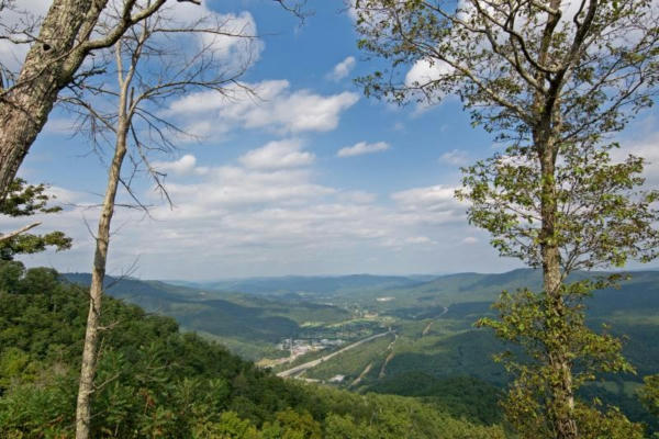 LOT 125 WITHROW LANDING THE RETREAT, CALDWELL, WV 24925, photo 5 of 29