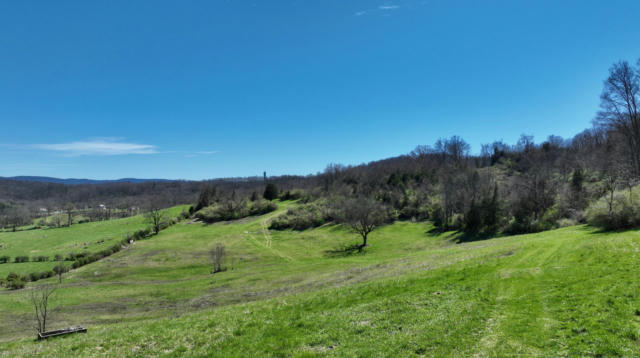 MCMILLIAN ROAD, FRANKFORD, WV 24938 - Image 1