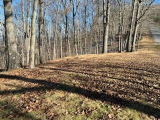 LOT 80, WHITE ROCK TRL, CALDWELL, WV 24986, photo 2 of 30