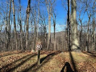 LOT 80, WHITE ROCK TRL, CALDWELL, WV 24986, photo 1 of 30