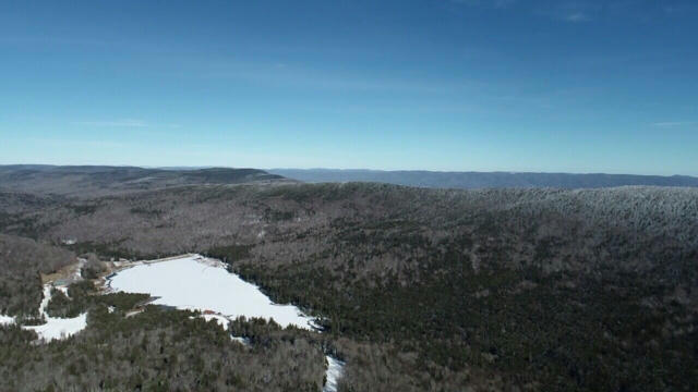 13 FOREVER WILD, SNOWSHOE, WV 26209, photo 5 of 8