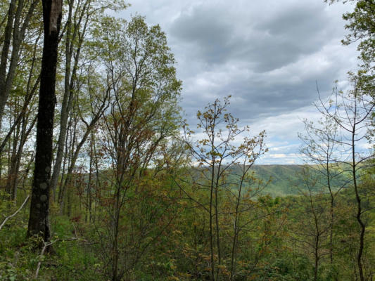 LOT 123 WITHROW LANDING, THE RETREAT, CALDWELL, WV 24925, photo 4 of 18
