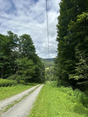 TRACT TWO LITTLE MOUNTAIN DR, HILLSBORO, WV 24946 - Image 1