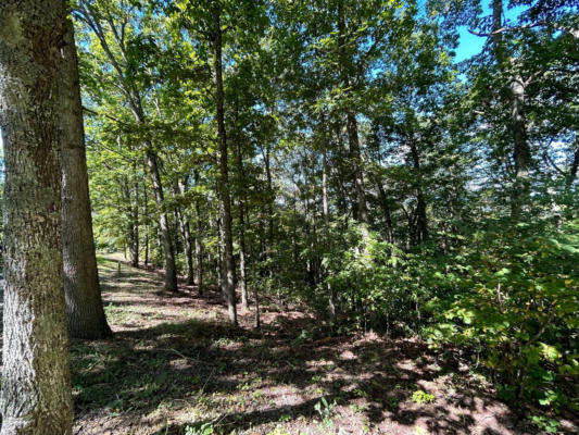 LOT 22 HORIZON PARKWAY, THE RETREAT, CALDWELL, WV 24925, photo 3 of 16