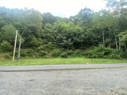 427 4TH AVE, MARLINTON, WV 24954 - Image 1