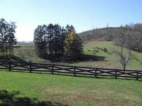 3535 BROWNSTOWN RD, RENICK, WV 24966, photo 5 of 126