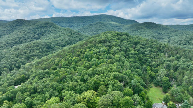 RIP VAN WINKLE RD, WHITE SULPHUR SPRINGS, WV 24986, photo 2 of 13