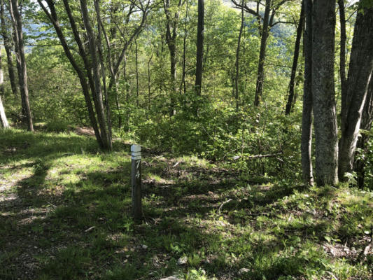 LOT 74 THE RETREAT, CALDWELL, WV 24925, photo 3 of 6