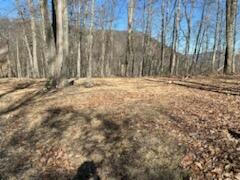 LOT 127 WITHROW LNDG, THE RETEAT, CALDWELL, WV 24925, photo 4 of 23