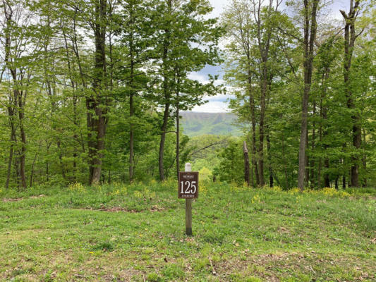 LOT 125 WITHROW LANDING THE RETREAT, CALDWELL, WV 24925, photo 2 of 29