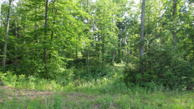 LOT 22 WOODHAVEN SUBDIVISION, LEWISBURG, WV 24901, photo 5 of 10